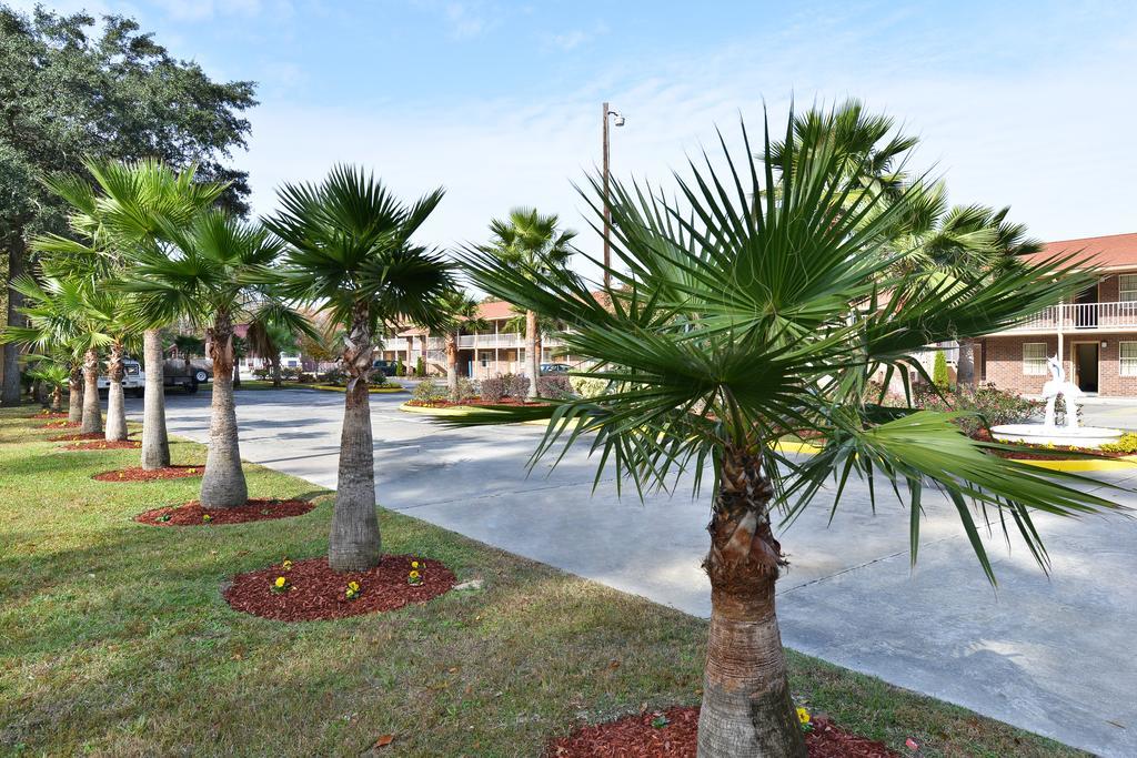 Savannah Inn And Suites Savannah Port Area Olanaklar fotoğraf